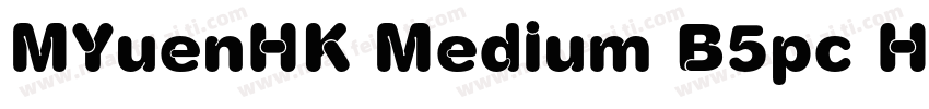 MYuenHK Medium B5pc H字体转换